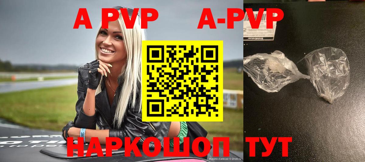 A-PVP СК Мурманск