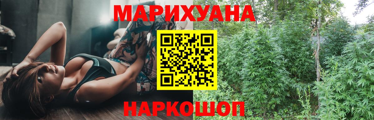 Бошки Шишки планчик Мурманск